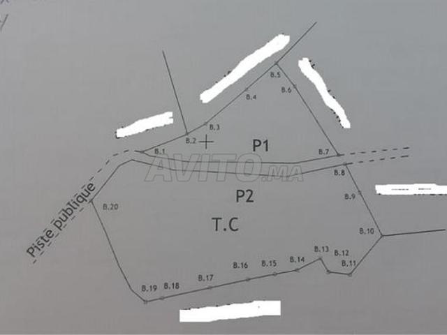 Propriété location à Al Haouz, L'Oriental