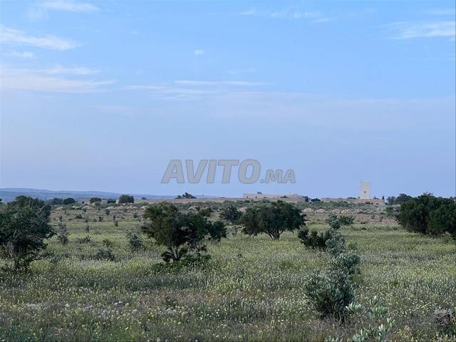 Propriété vente à El Ma, Gharb-Chrarda-Beni Hssen