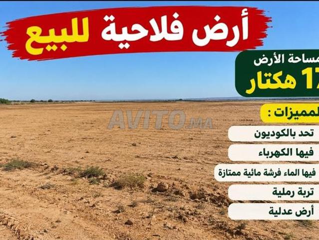 Propriété vente à Larache العرائش, Province de Larache إقليم العرائش