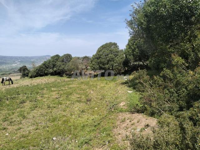 Propriété vente à Tétouan, Tanger-Tétouan