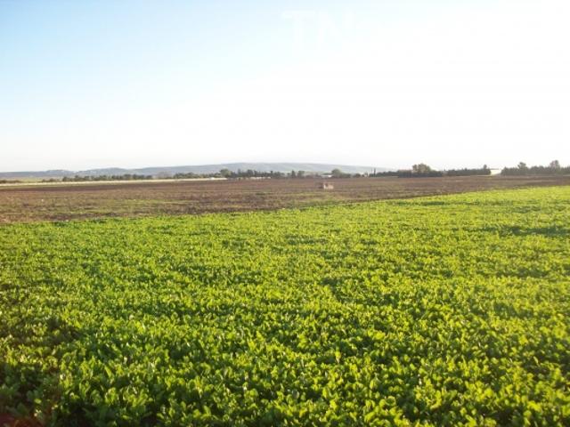 Terrain vente