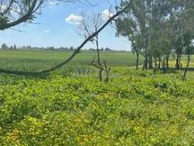 Propriété vente à El Ma, Gharb-Chrarda-Beni Hssen