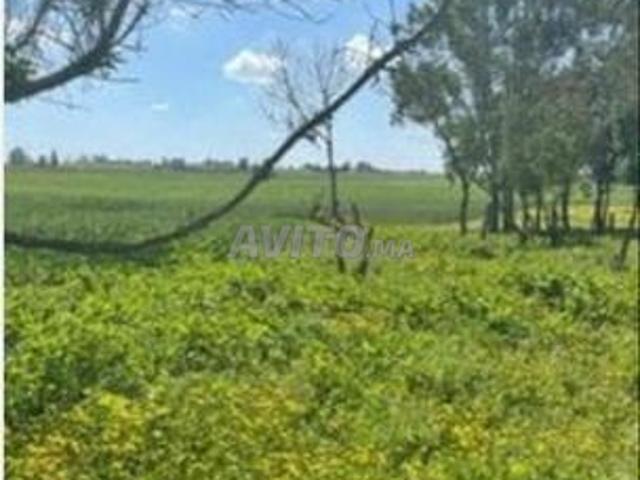 Propriété vente à Nouaceur, Gharb-Chrarda-Beni Hssen