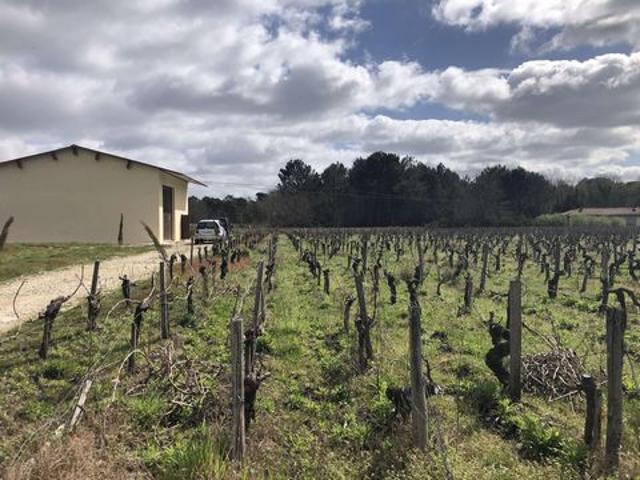 Terrain vente à Lesparre-Médoc, Queyrac