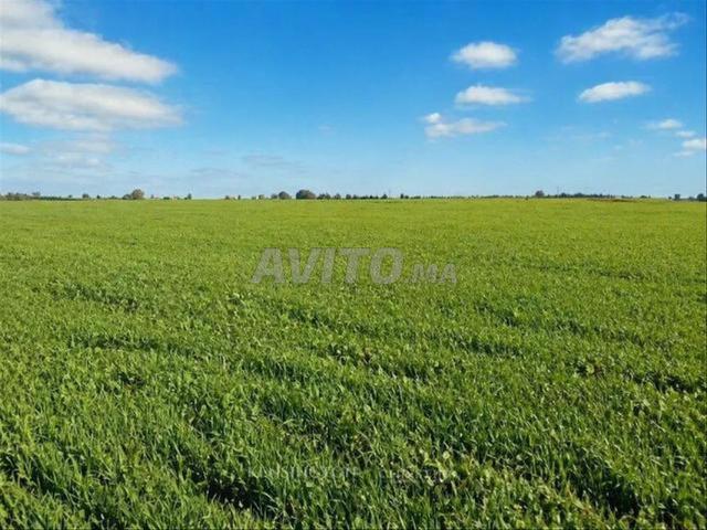Propriété vente à Slimane, Gharb-Chrarda-Beni Hssen