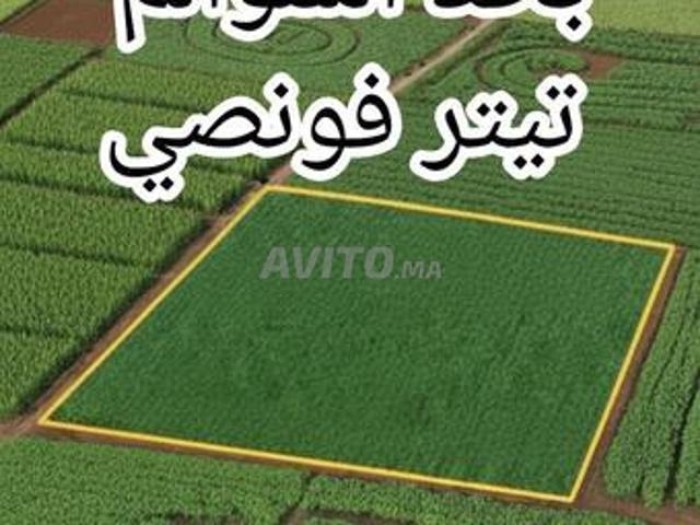 Propriété vente à Anfa, Gharb-Chrarda-Beni Hssen