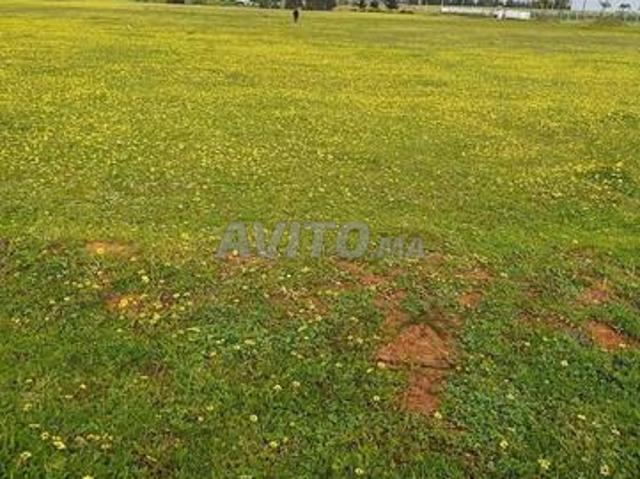 Propriété vente à Sidi Allal El Bahraoui
