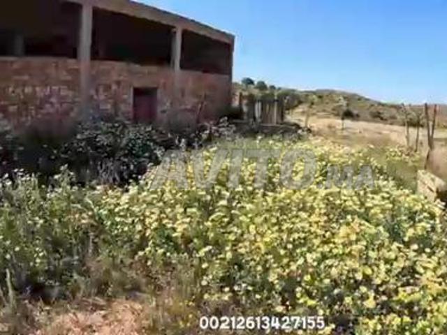 Propriété vente à Berkane
