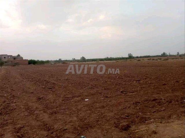 Propriété vente à Ouarzazate