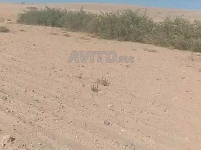 Propriété vente à Chichaoua, L'Oriental
