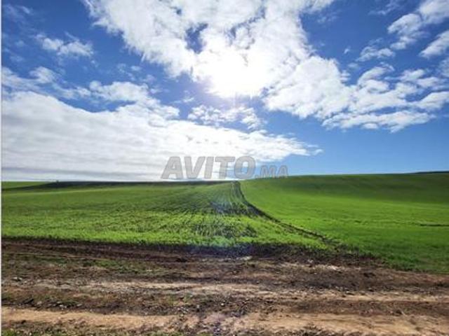 Propriété vente à Khémisset
