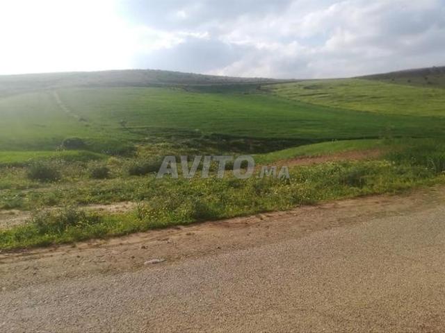Propriété vente à Meknès