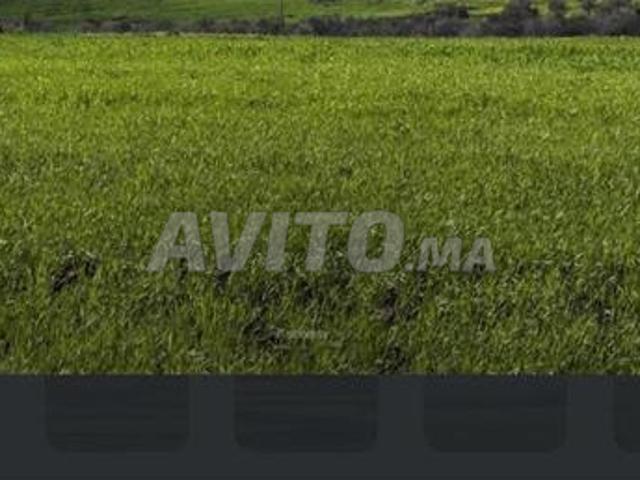 Propriété vente à El Ma, Gharb-Chrarda-Beni Hssen