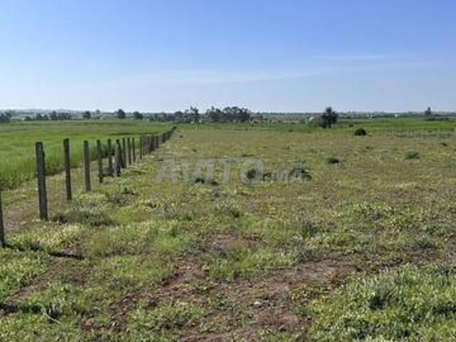 Propriété vente à Gharb-Chrarda-Beni Hssen