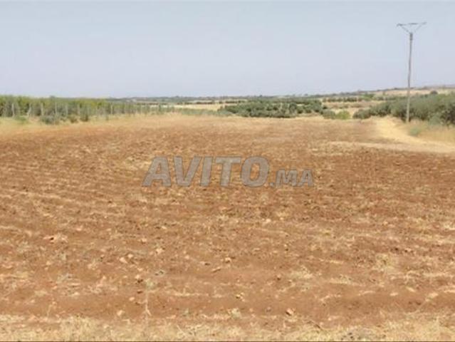 Propriété vente à El Hajeb
