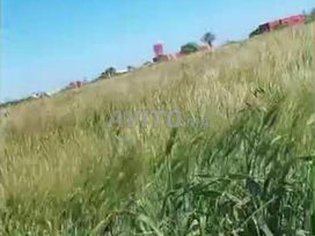 Propriété vente à Berrechid, Gharb-Chrarda-Beni Hssen