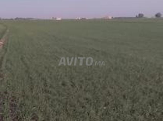 Propriété vente à Berrechid, Gharb-Chrarda-Beni Hssen