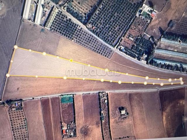 Terrain vente à Sidi Allal El Bahraoui