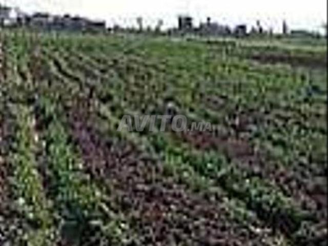 Propriété vente à Berrechid, Gharb-Chrarda-Beni Hssen