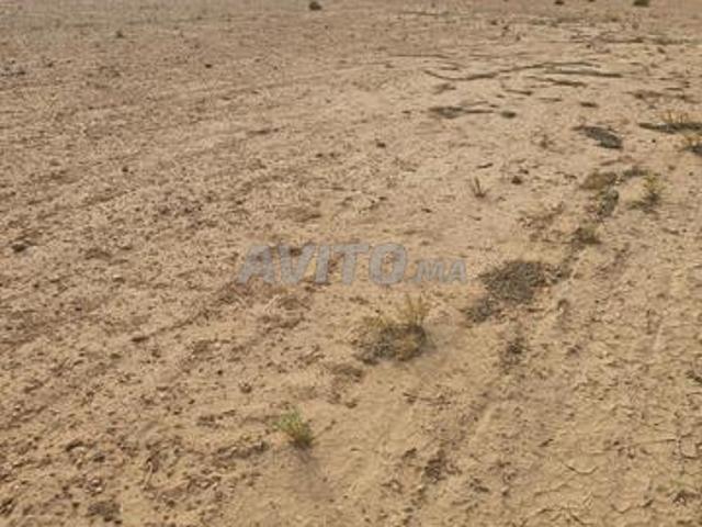 Propriété vente à Chichaoua, L'Oriental