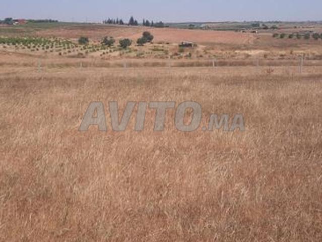 Propriété vente à Salé