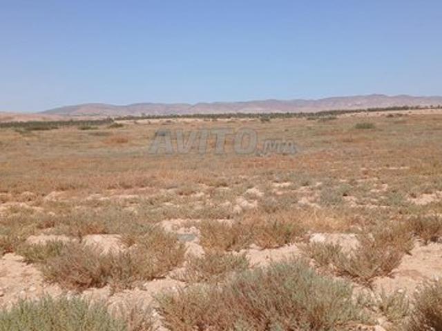 Propriété vente à Ben Slimane