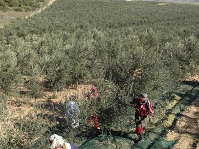 Terrain vente à Ksibet Sousse, Akouda