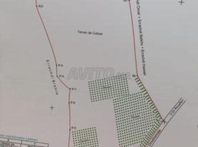 Propriété vente à Chichaoua, L'Oriental