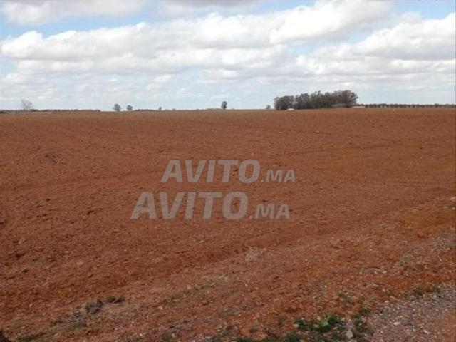Propriété vente à Ben Slimane