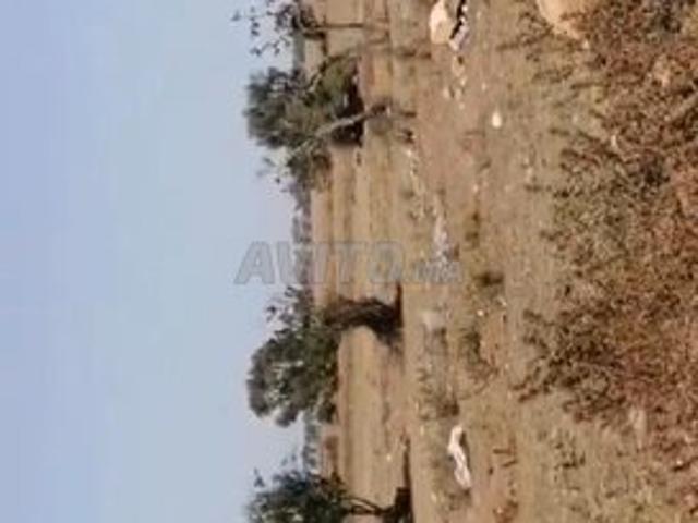 Propriété vente à Had Soualem, Gharb-Chrarda-Beni Hssen