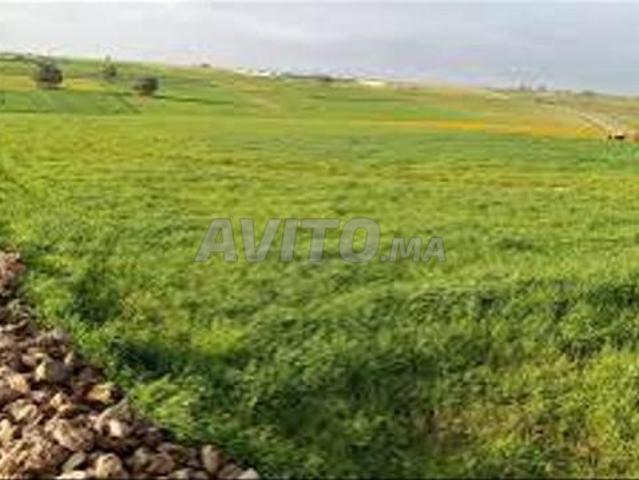 Propriété vente à El Ma, Gharb-Chrarda-Beni Hssen
