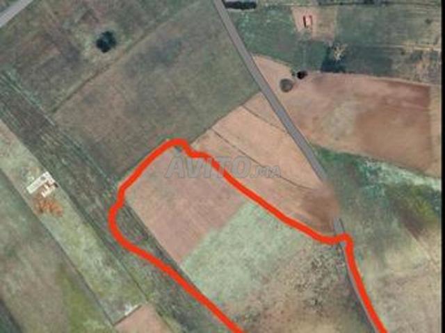Propriété vente à Khémisset