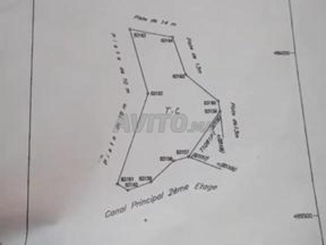 Propriété vente à Berkane