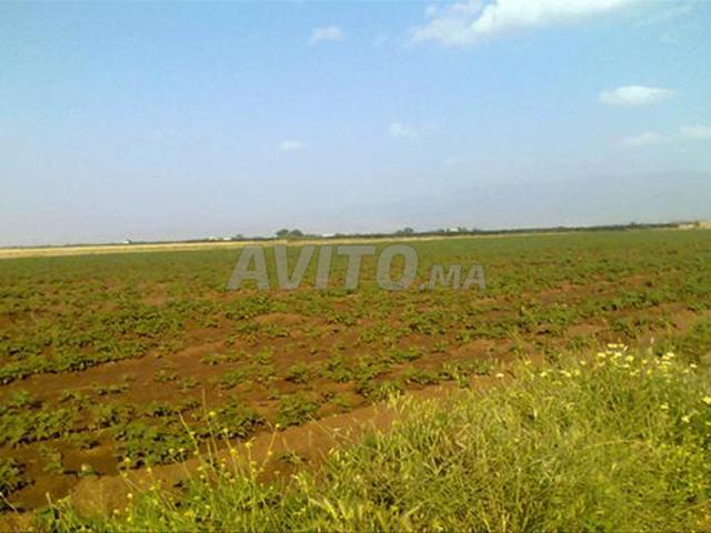 Propriété vente à Settat, Gharb-Chrarda-Beni Hssen