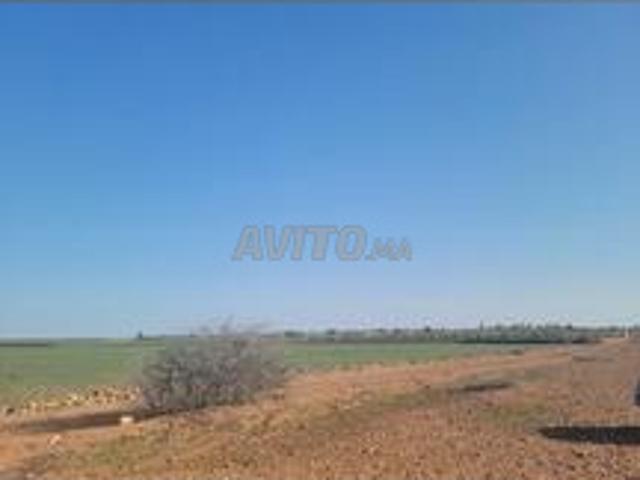Propriété vente à Derb Omar, Settat