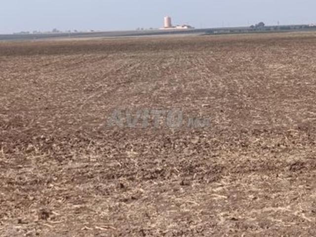 Propriété vente à Berrechid, Gharb-Chrarda-Beni Hssen