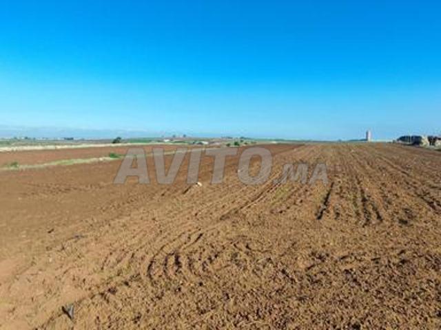 Propriété vente à El Ma, Gharb-Chrarda-Beni Hssen