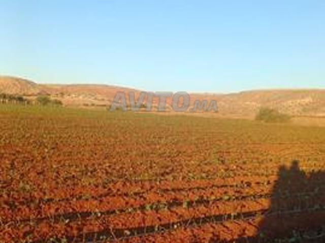 Propriété vente à El Ma, Gharb-Chrarda-Beni Hssen