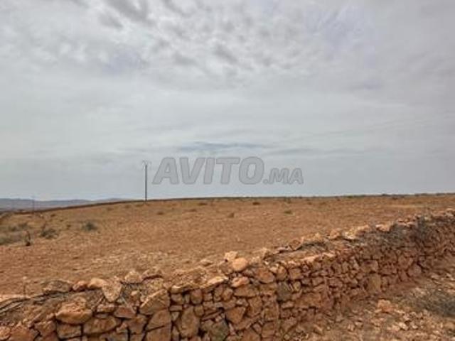 Propriété vente à Tiznit ⵜⵉⵣⵏⵉⵜ تزنيت, Province de Tiznit ⵜⴰⵙⴳⴰ ⵏ ⵜⵉⵣⵏⵉⵜ إقليم تزنيت