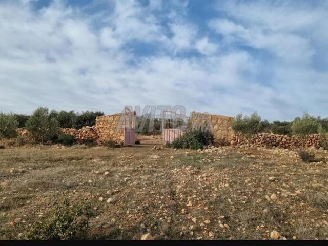 Propriété vente à Séfrou
