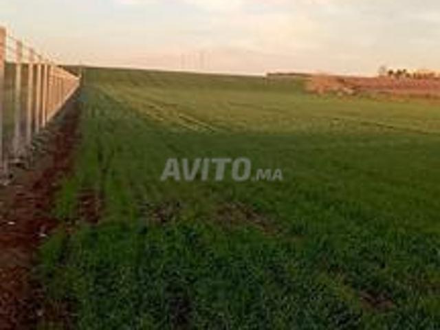 Propriété vente à El Hajeb