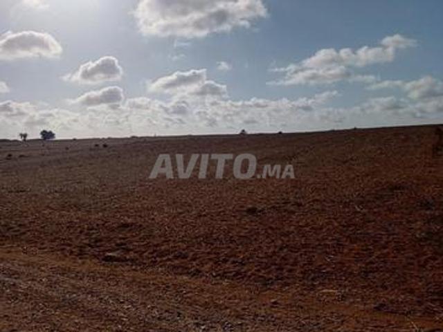 Propriété vente à El Ma, Gharb-Chrarda-Beni Hssen