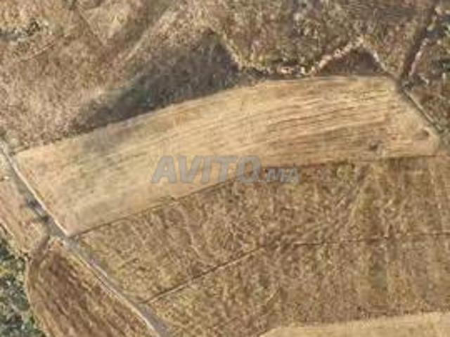 Propriété vente à Gharb-Chrarda-Beni Hssen