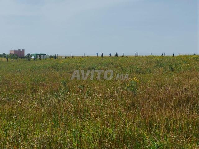 Propriété vente à Gharb-Chrarda-Beni Hssen