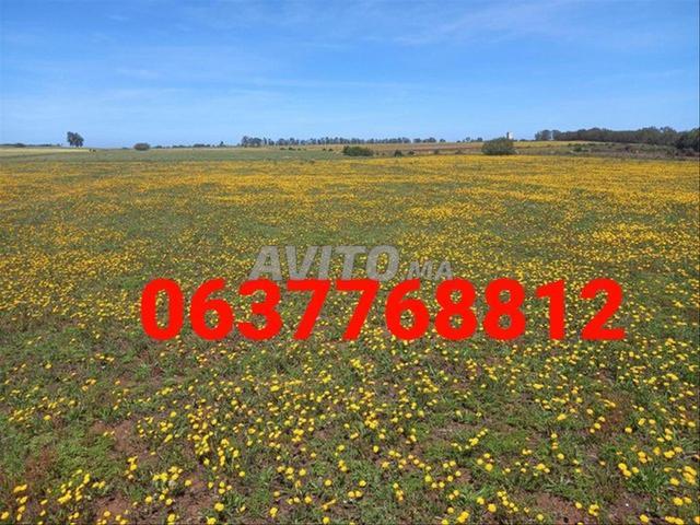 Propriété vente à Berrechid, Gharb-Chrarda-Beni Hssen