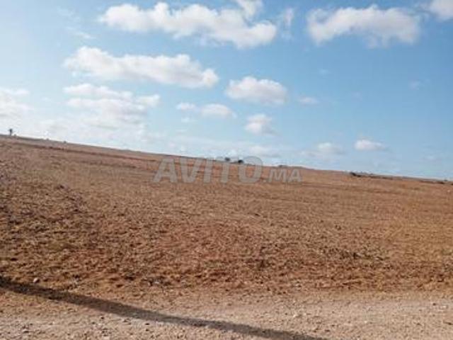 Propriété vente à El Ma, Gharb-Chrarda-Beni Hssen