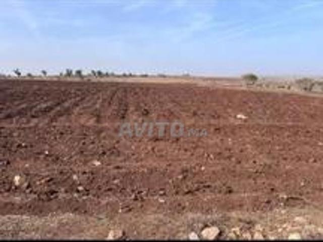 Propriété vente à El Ma, Gharb-Chrarda-Beni Hssen