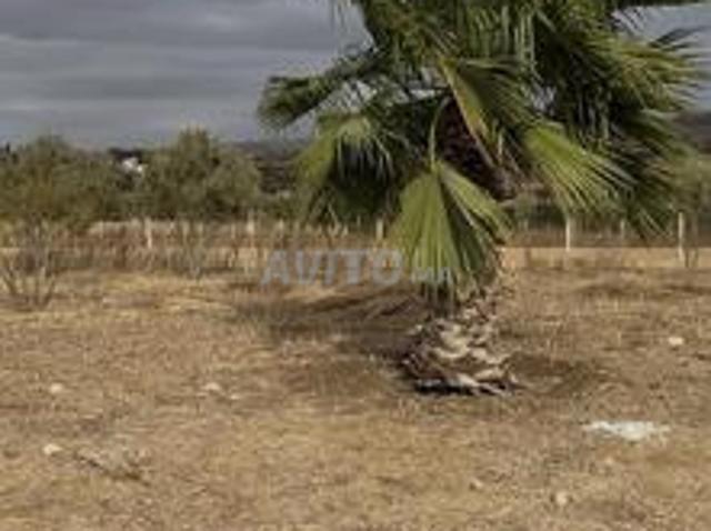 Propriété vente à Slimane, Gharb-Chrarda-Beni Hssen