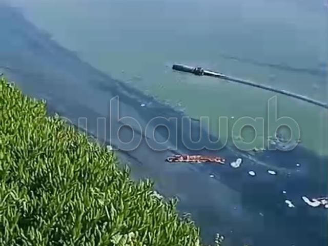 Terrain vente à El Ma, Gharb-Chrarda-Beni Hssen