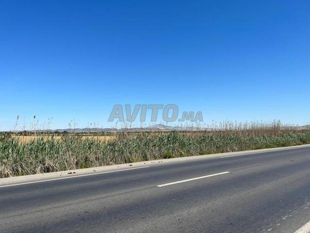 Propriété vente à Sidi Qacem